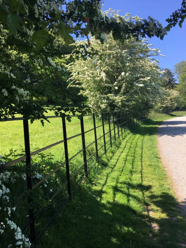 Six Beautiful Walks to Help You Stay Active