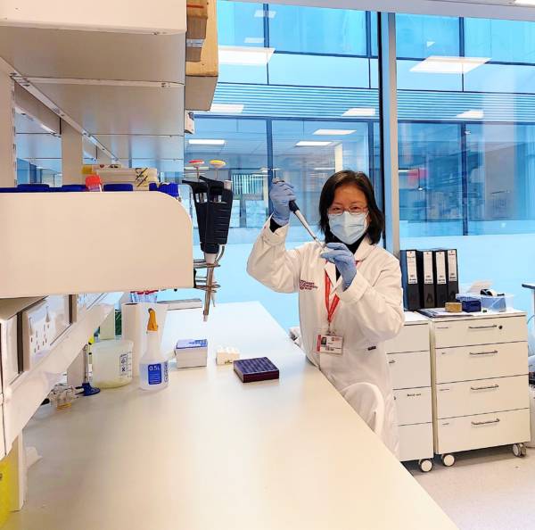 Can the common cooking spice fenugreek combat heart disease?