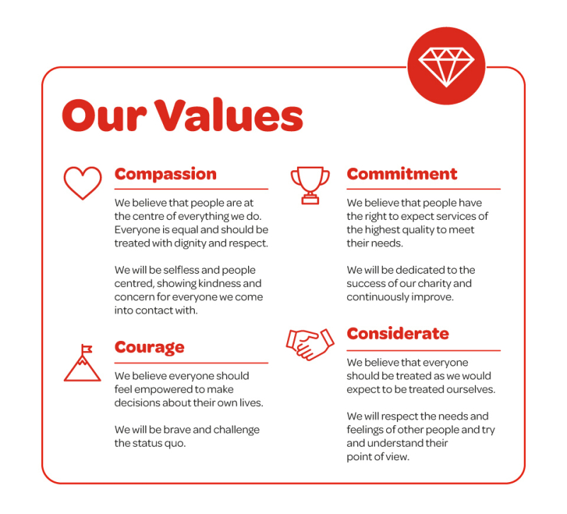 NICHS Strategy Web Graphics Values