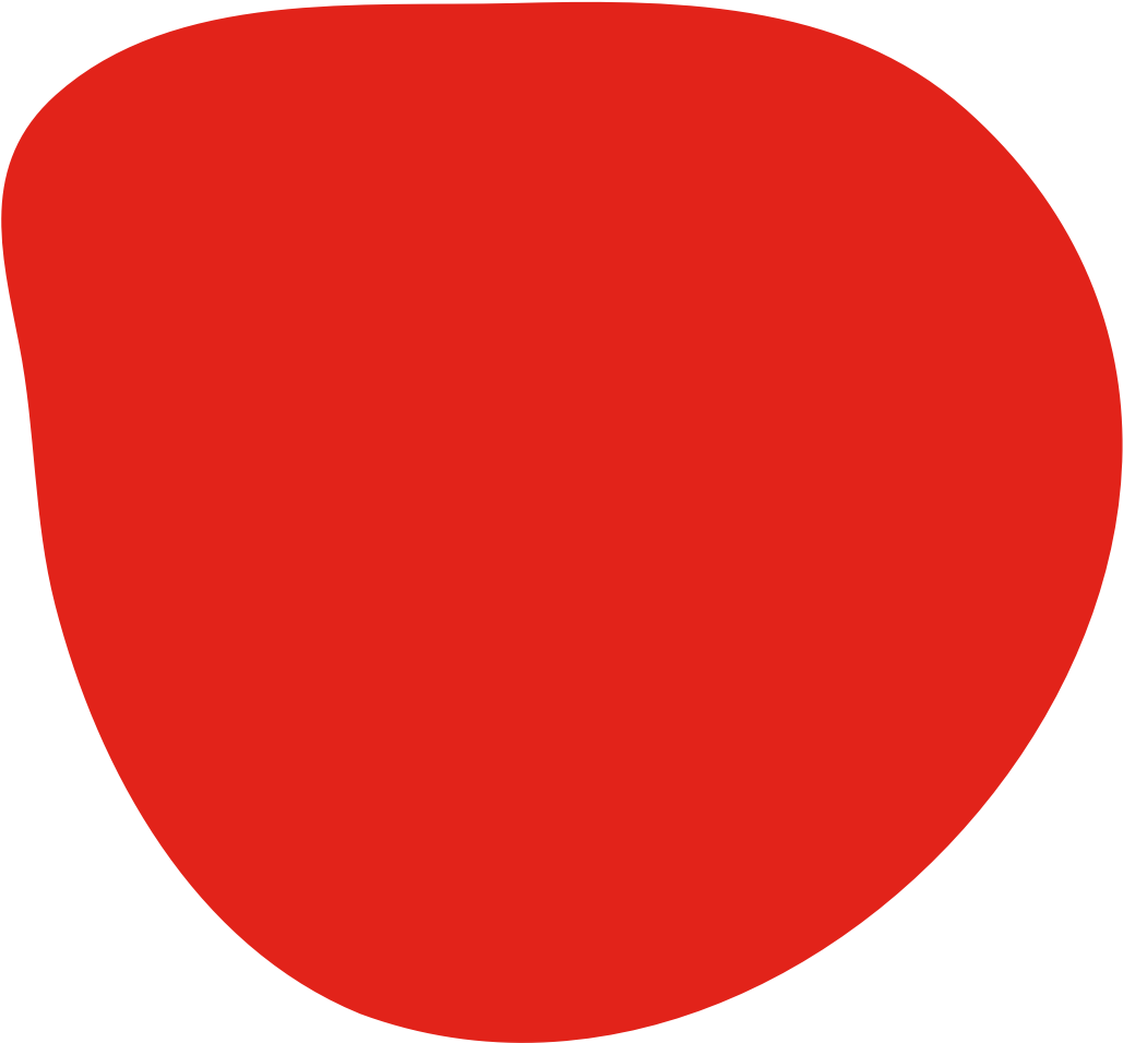 NICHS logo blob shape