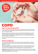 Chest Conditions Factsheet thumbnail
